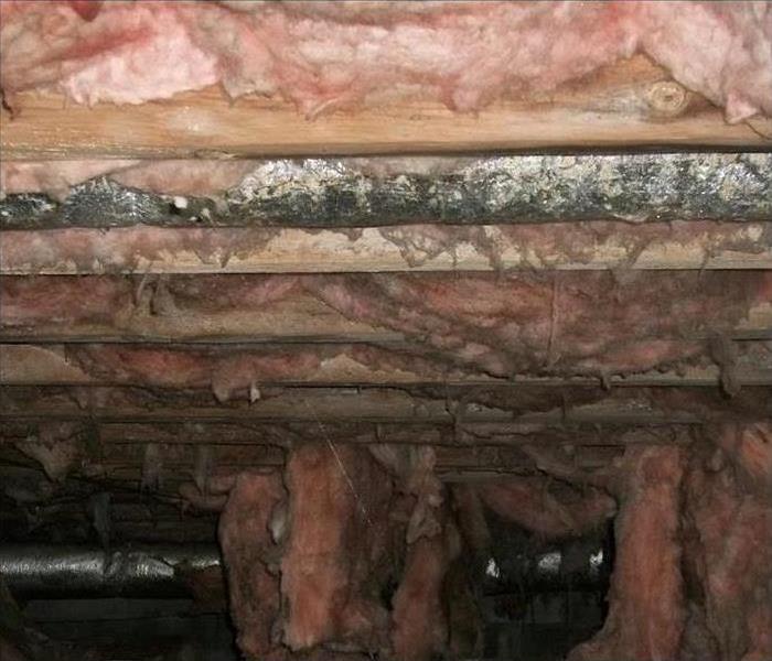 Crawlspace, insulation and mold